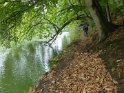 2019-09-26 10-24-46 Etang de Beaulieu MBo